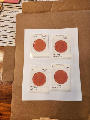 [Plates, Mills Dock 2026-03-25 --Bob Mills and Kurt Hurzeler for WWALS]