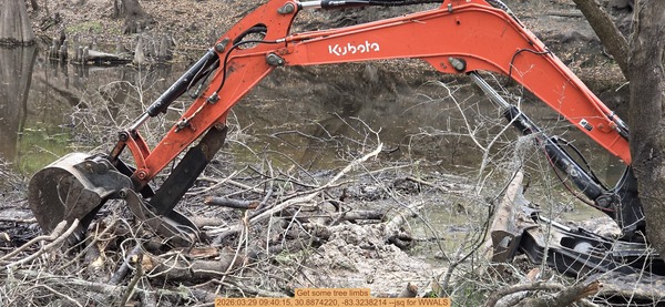 [Get some tree limbs, 2026:03:29 09:40:15, 30.8874220, -83.3238214 --jsq for WWALS]