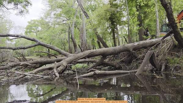 Movie: Farther downstream, 2026:03:29 10:50:29, 30.8865904, -83.3241912 (4.1M) --jsq for WWALS