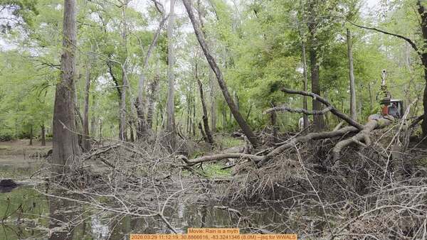 [Movie: Rain is a myth, 2026:03:29 11:12:19, 30.8866616, -83.3241346 (8.0M) --jsq for WWALS]