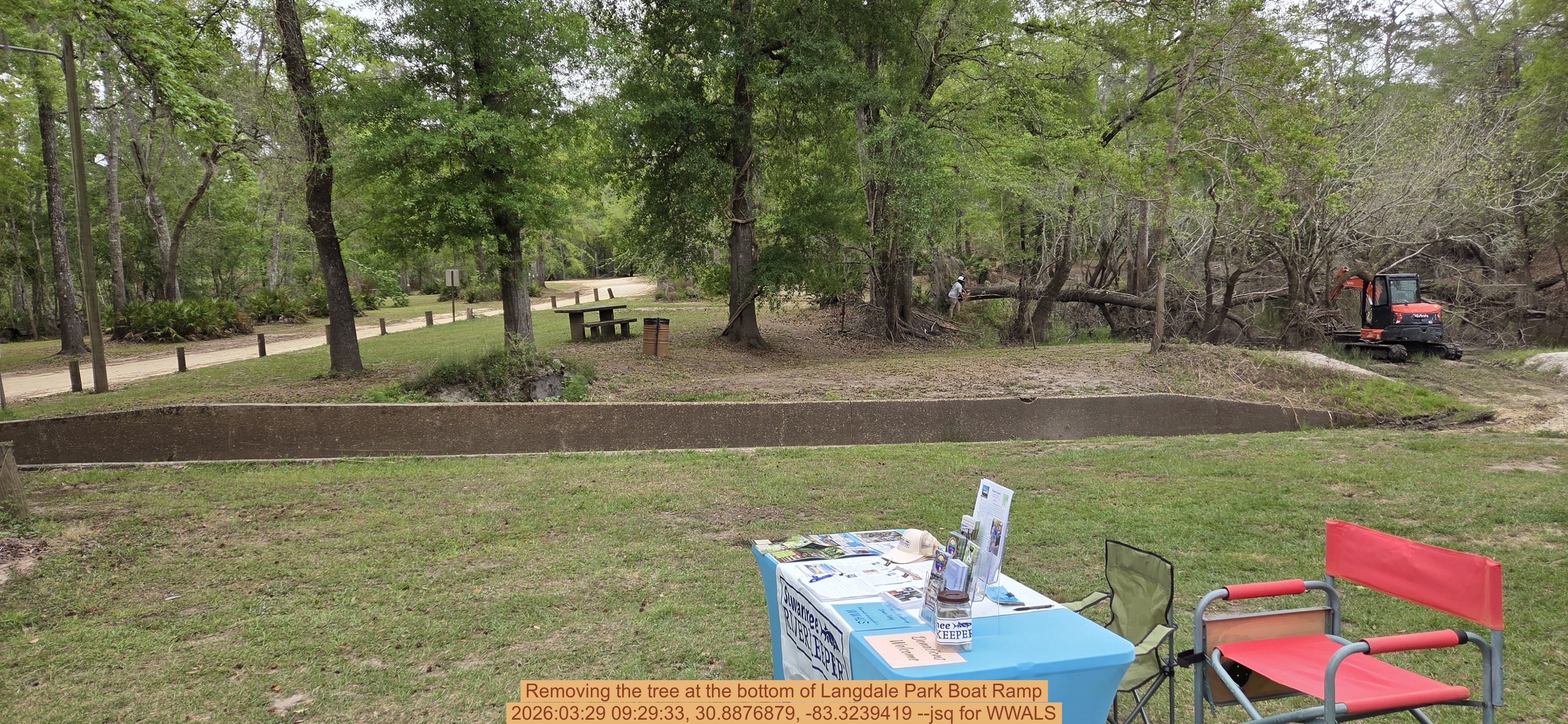 Removing the tree at the bottom of Langdale Park Boat Ramp, 2026:03:29 09:29:33, 30.8876879, -83.3239419 --jsq for WWALS