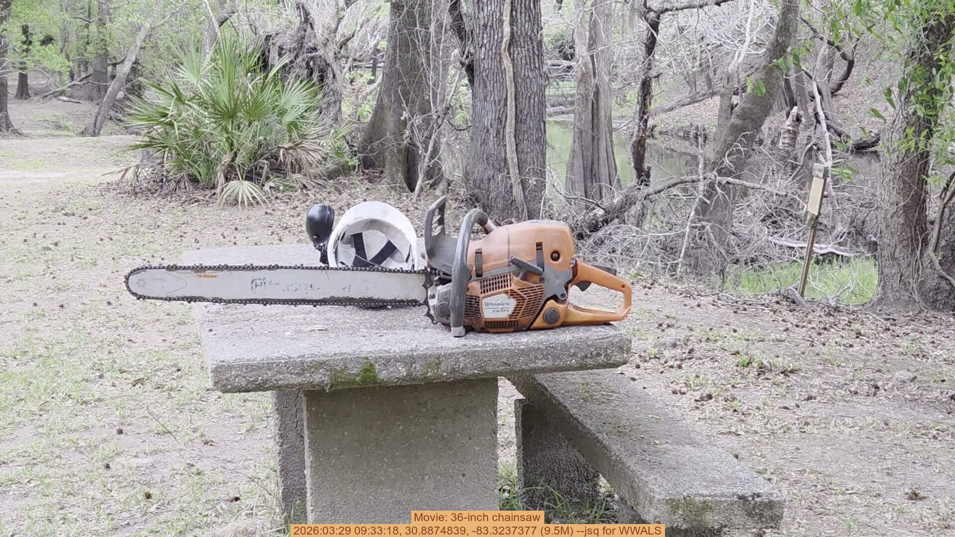 Movie: 36-inch chainsaw, 2026:03:29 09:33:18, 30.8874839, -83.3237377 (9.5M) --jsq for WWALS