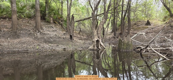 [Creek or wash or slough, 2026:03:29 13:29:48, 30.8922056, -83.3256628 --jsq for WWALS]