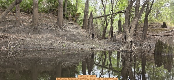 20260329 132950, 2026:03:29 13:29:50, 30.8896372, -83.3218182 --jsq for WWALS