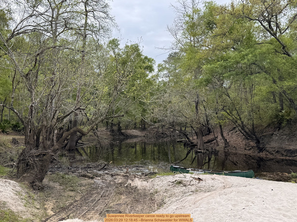 [Suwannee Riverkeeper canoe ready to go upstream, 2026:03:29 12:18:45 --Brianna Schawalder for WWALS]
