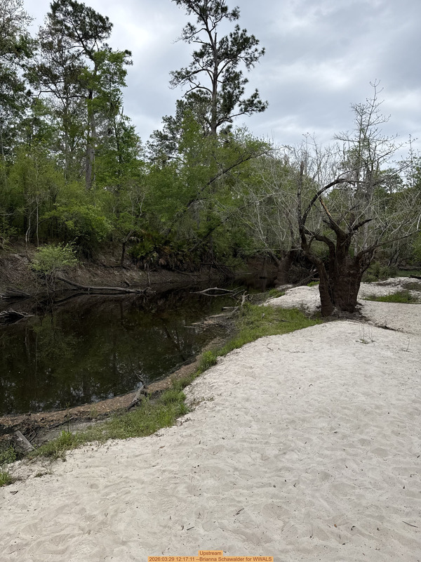 Upstream, 2026:03:29 12:17:11 --Brianna Schawalder for WWALS