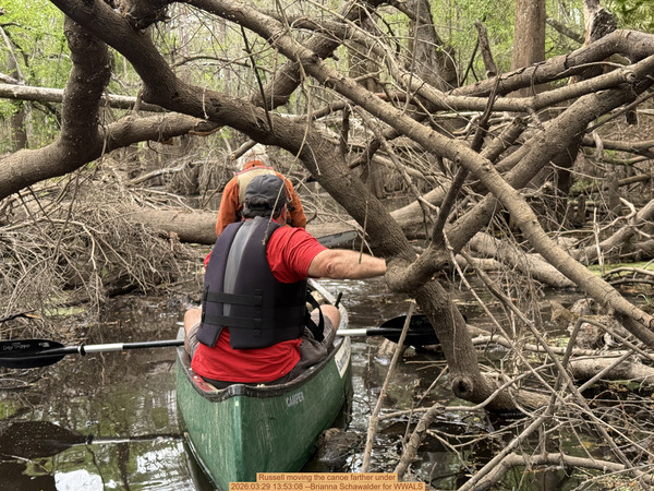 [Russell moving the canoe farther under, 2026:03:29 13:53:08 --Brianna Schawalder for WWALS]