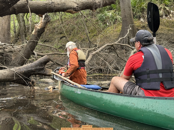 Sawed off, 2026:03:29 14:07:02 --Brianna Schawalder for WWALS