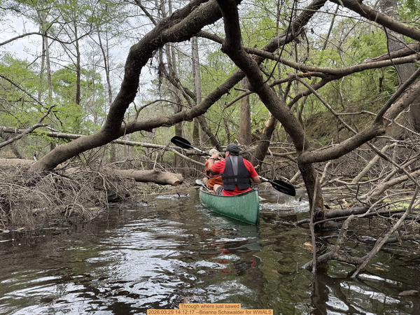 [Through where just sawed, 2026:03:29 14:12:17 --Brianna Schawalder for WWALS]