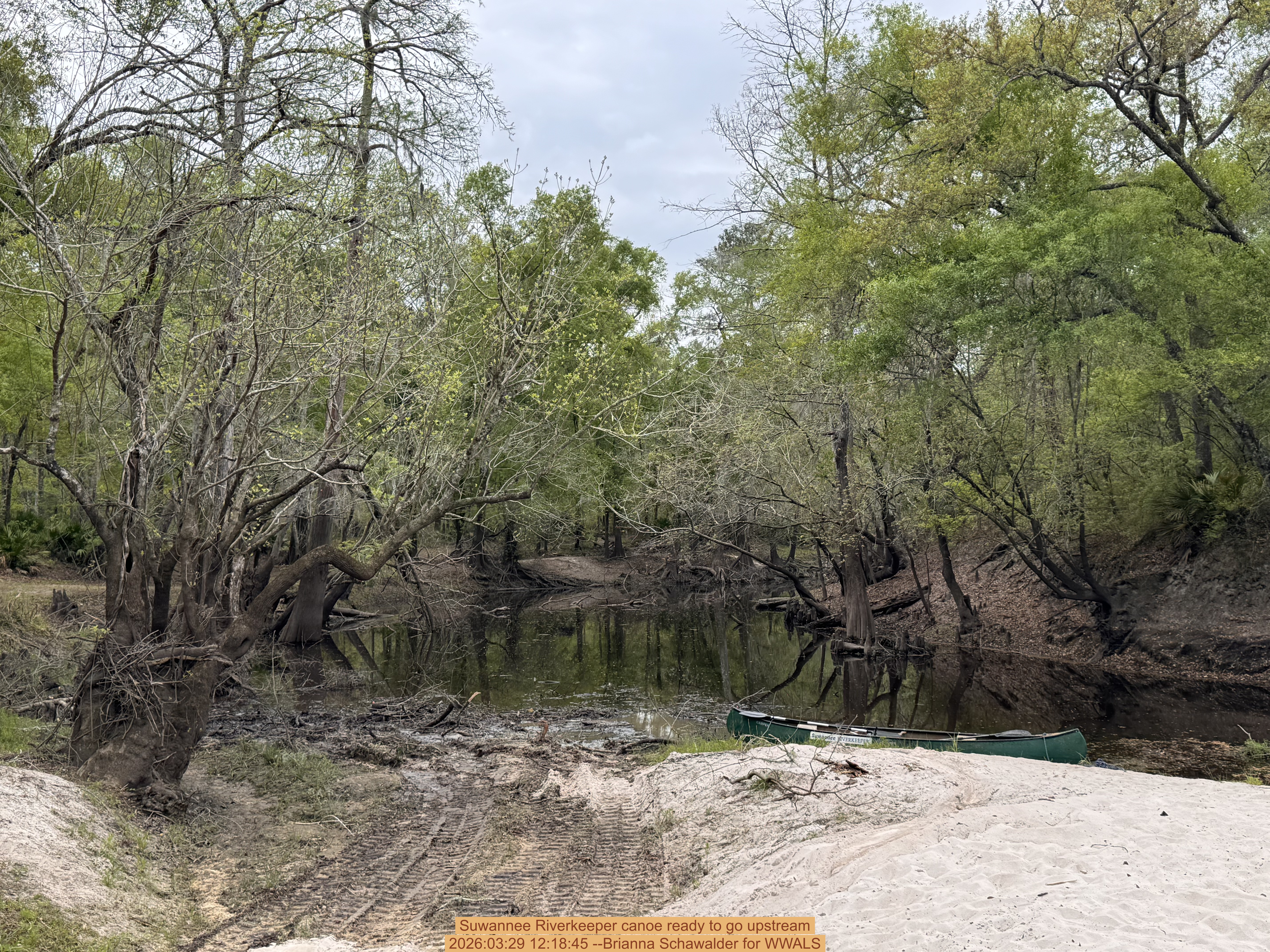 Suwannee Riverkeeper canoe ready to go upstream, 2026:03:29 12:18:45 --Brianna Schawalder for WWALS