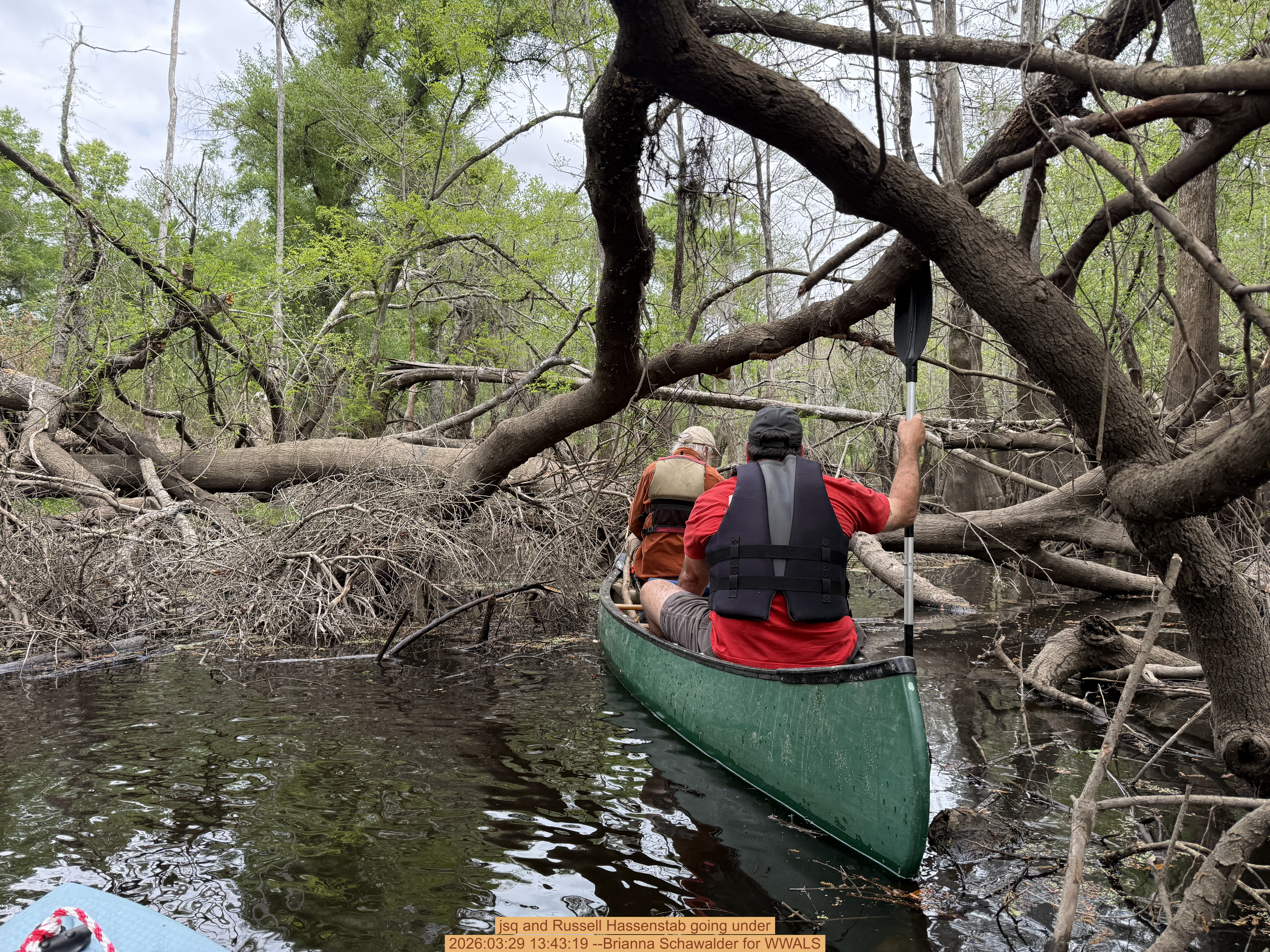 jsq and Russell Hassenstab going under, 2026:03:29 13:43:19 --Brianna Schawalder for WWALS