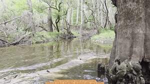 [Movie: Corinne Coleman Creek out of Foxborough, 2026:03:29 12:46:31, 30.8879823, -83.3242435 (20M) --jsq for WWALS]