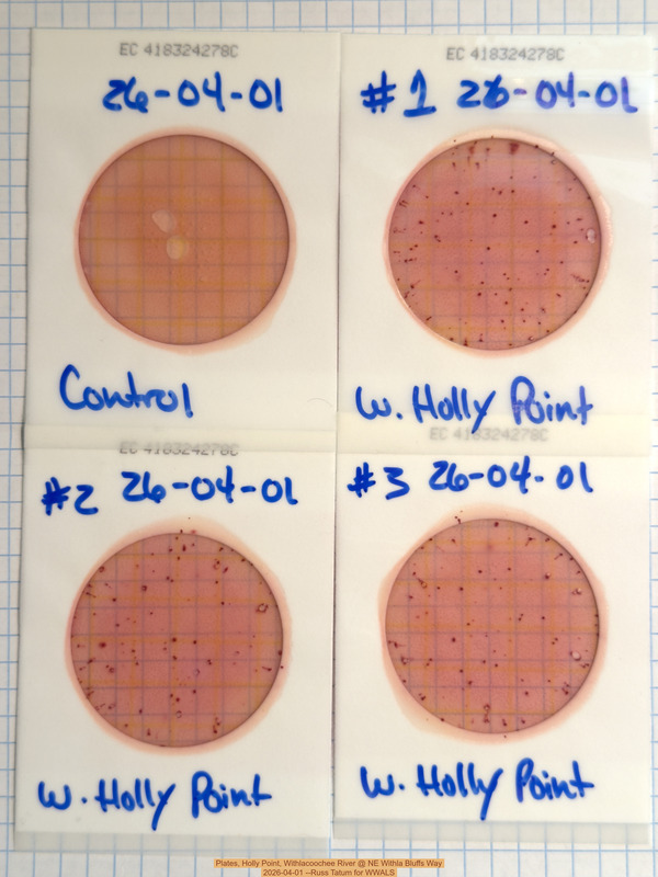 Plates, Holly Point, Withlacoochee River @ NE Withla Bluffs Way 2026-04-01 --Russ Tatum for WWALS