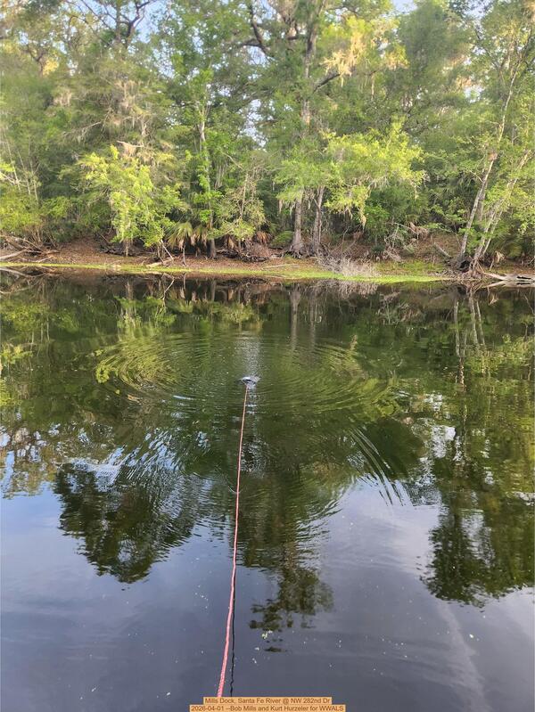 [Mills Dock, Santa Fe River @ NW 282nd Dr 2026-04-01 --Bob Mills and Kurt Hurzeler for WWALS]