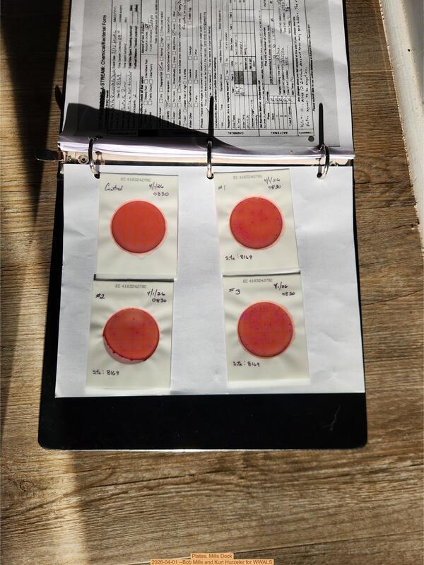 Plates, Mills Dock 2026-04-01 --Bob Mills and Kurt Hurzeler for WWALS