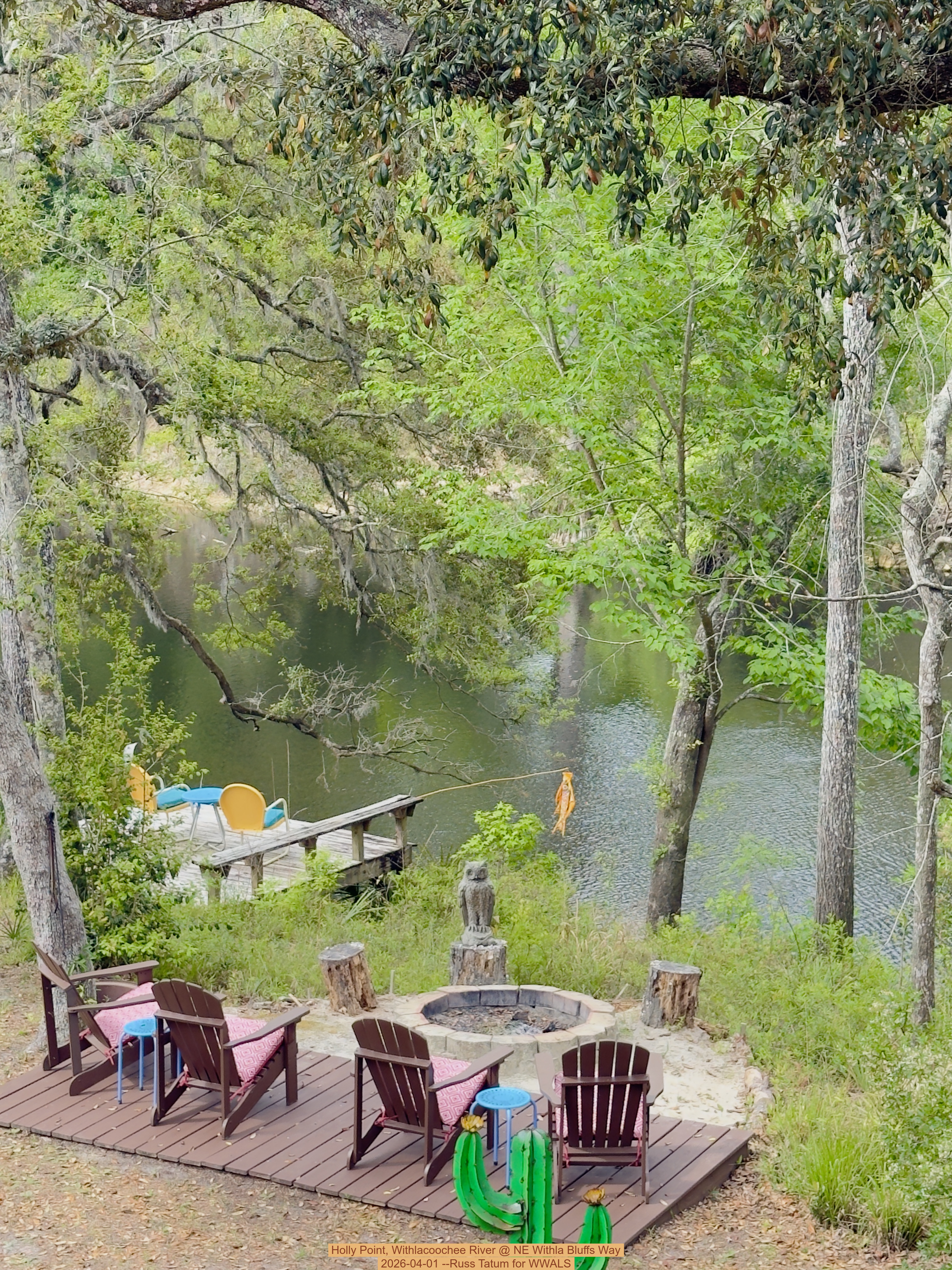 Holly Point, Withlacoochee River @ NE Withla Bluffs Way 2026-04-01 --Russ Tatum for WWALS