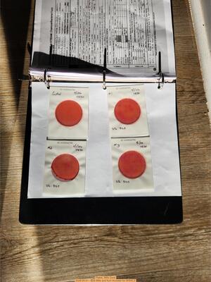 [Plates, Mills Dock 2026-04-01 --Bob Mills and Kurt Hurzeler for WWALS]