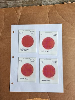 [Plates, Mills Dock 2026-04-07 --Bob Mills and Kurt Hurzeler for WWALS]