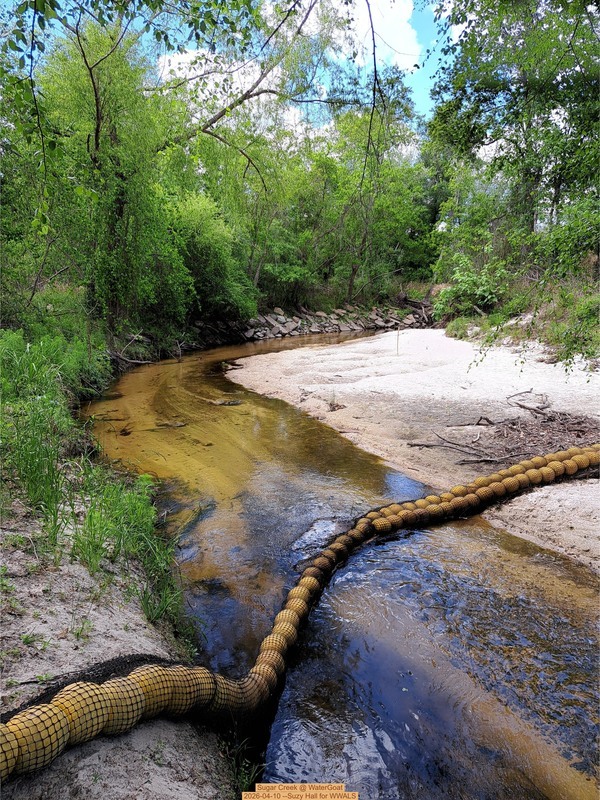 [Sugar Creek @ WaterGoat, 2026-04-10 --Suzy Hall for WWALS]