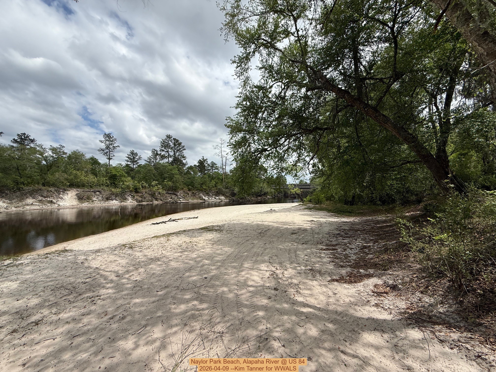 Naylor Park Beach, Alapaha River @ US 84 2026-04-09 --Kim Tanner for WWALS