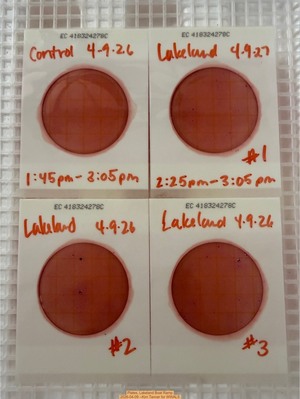 [Plates, Lakeland Boat Ramp 2026-04-09 --Kim Tanner for WWALS]