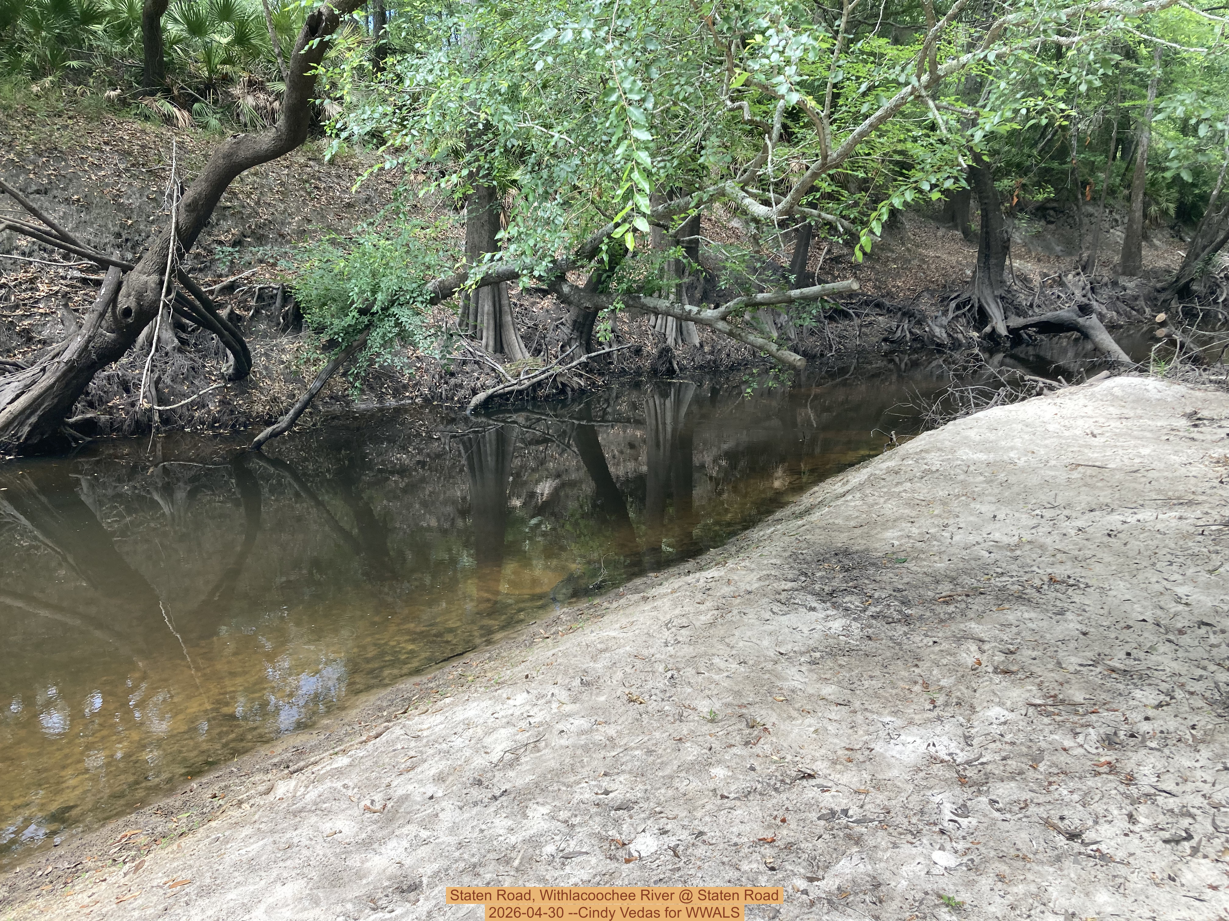 Staten Road, Withlacoochee River @ Staten Road 2026-04-30 --Cindy Vedas for WWALS