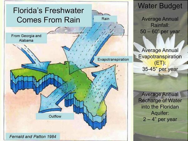 Florida’s Freshwater Comes From Rain