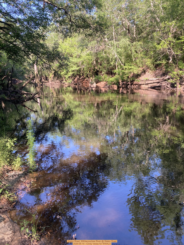 [Staten Road, Withlacoochee River @ Staten Road 2026-05-14 --Cindy Vedas for WWALS]