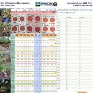 [Dirty Withlacoochee River upstream, clean downstream, 2026-05-14, After recent rains, Paddle at your own risk]