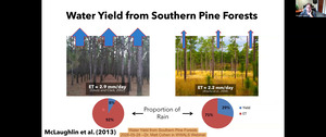 [Water Yield from Southern Pine Forests, 2026-05-28 --Dr. Matt Cohen in WWALS Webinar]