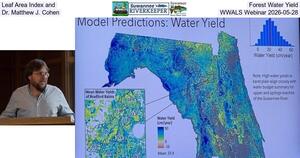 [Leaf Area Index and Forest Water Yield, Dr. Matthew J. Cohen, WWALS Webinar 2026-05-28]