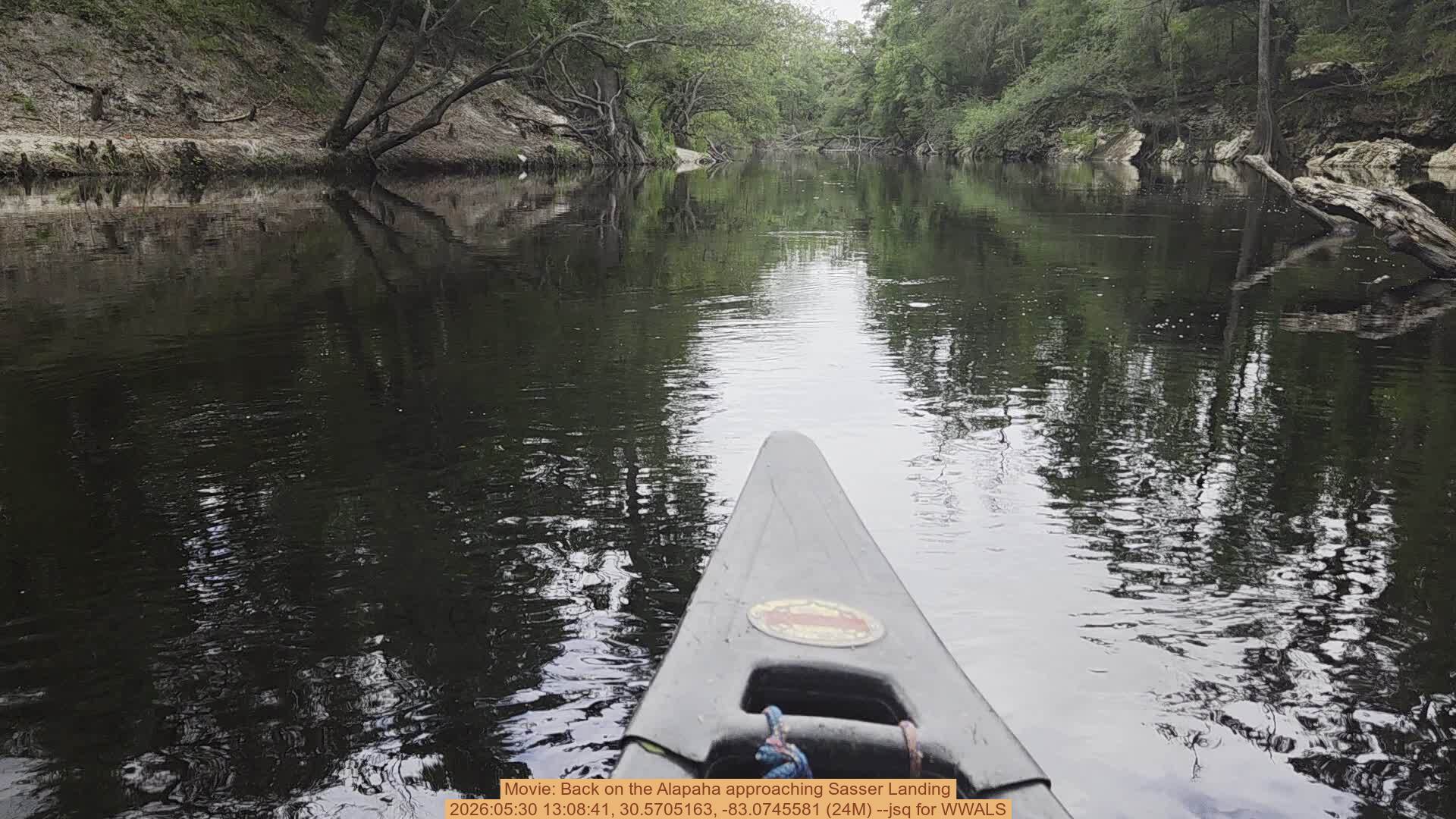 Movie: Back on the Alapaha approaching Sasser Landing, 2026:05:30 13:08:41, 30.5705163, -83.0745581 (24M) --jsq for WWALS