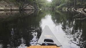 [Movie: Back on the Alapaha approaching Sasser Landing, 2026:05:30 13:08:41, 30.5705163, -83.0745581 (24M) --jsq for WWALS]