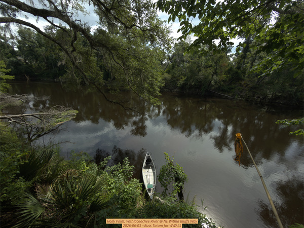 [Holly Point, Withlacoochee River @ NE Withla Bluffs Way 2026-06-03 --Russ Tatum for WWALS]