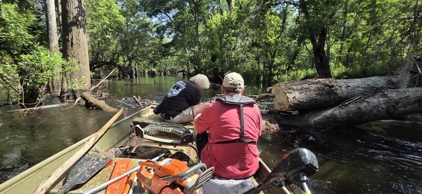 Sawing into the water, 2026:06:07 10:36:50, 30.8531806, -83.3359460