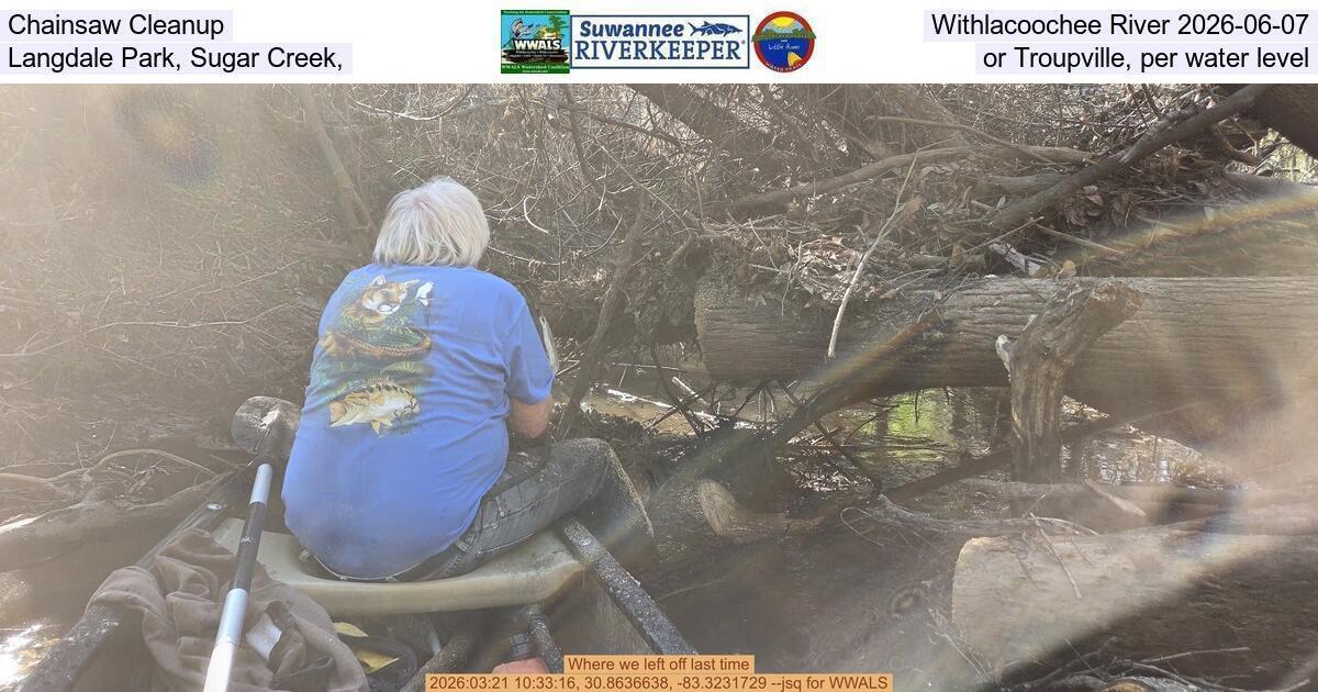 Chainsaw Cleanup, Withlacoochee River 2026-06-07, Langdale Park, Sugar Creek, or Troupville, per water level
