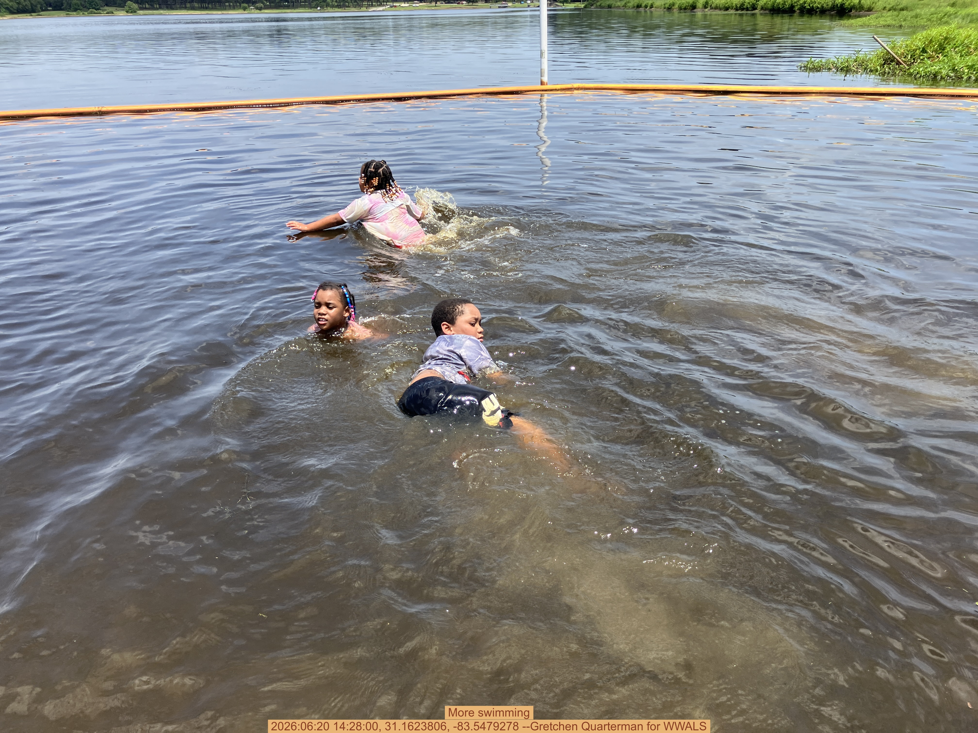 More swimming, 2026:06:20 14:28:00, 31.1623806, -83.5479278 --Gretchen Quarterman for WWALS