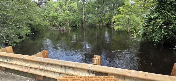 [Downstream, Franklinville Road, Withlacoochee River, 2026:06:25 --jsq for WWALS 13:19:55, 30.9813968, -83.2676302]