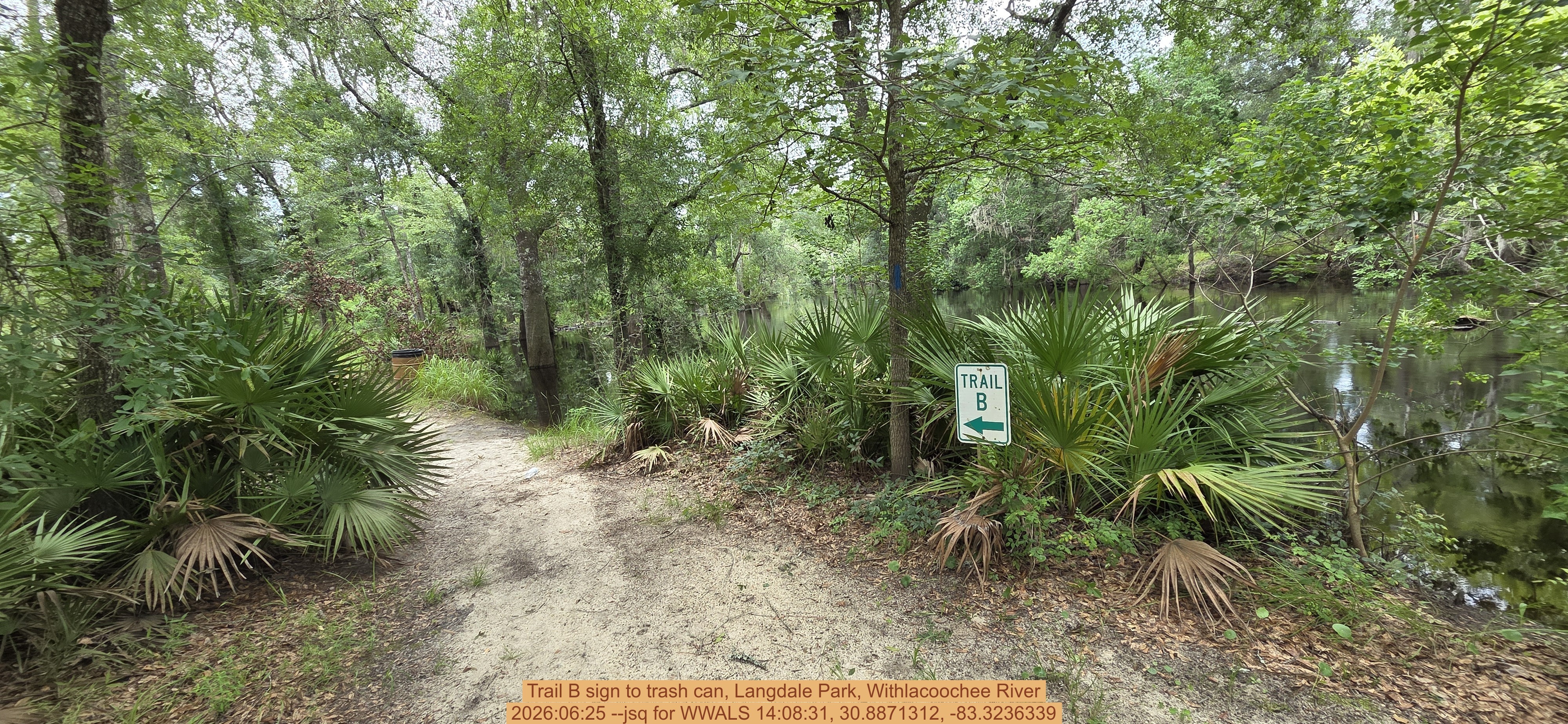 Trail B sign to trash can, Langdale Park, Withlacoochee River, 2026:06:25 --jsq for WWALS 14:08:31, 30.8871312, -83.3236339