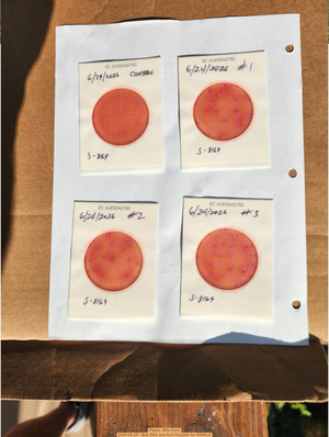 [Plates, Mills Dock 2026-06-24 --Bob Mills and Kurt Hurzeler for WWALS]