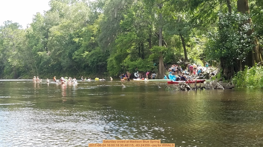 Saturday crowd at Madison Blue Spring, 2017-06-24 16:00:18 30.48115, -83.24359 --jsq for WWALS