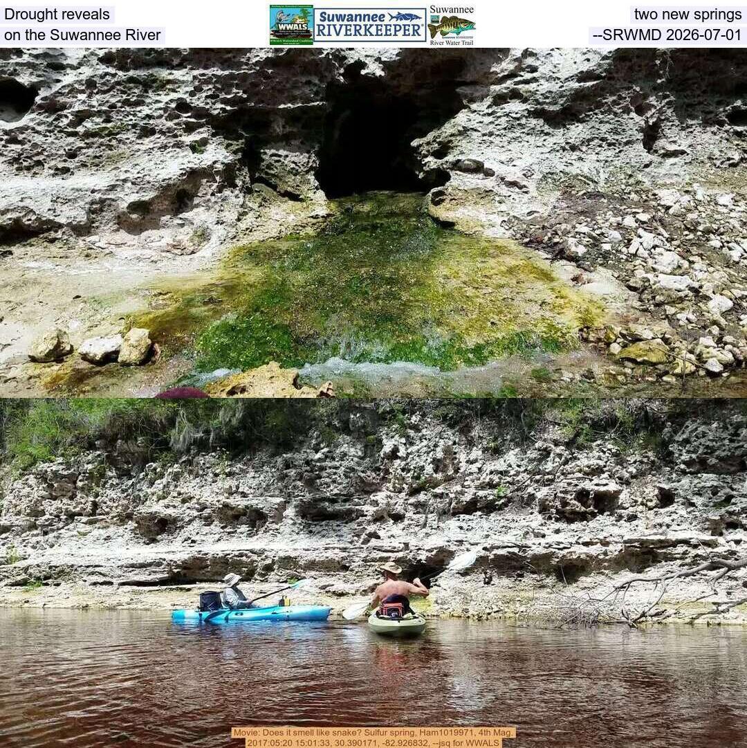 Drought reveals two new springs on the Suwannee River --SRWMD 2026-07-01