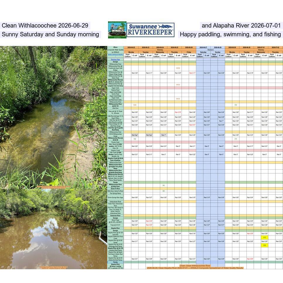 Clean Withlacoochee 2026-06-29, and Alapaha River 2026-07-01, Sunny Saturday and Sunday morning, Happy paddling, swimming, and fishing
