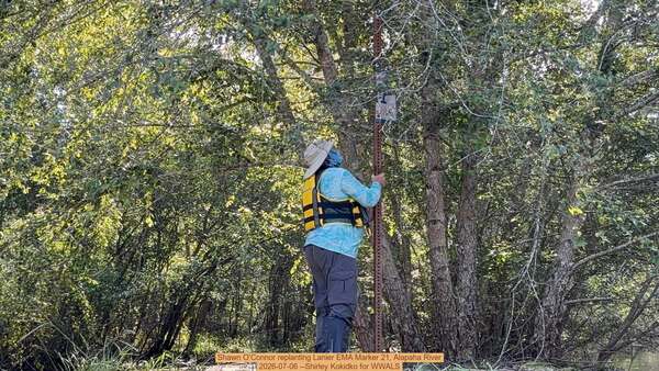 [Shawn O'Connor replanting Lanier EMA Marker 21, Alapaha River, 2026-07-06 --Shirley Kokidko for WWALS]