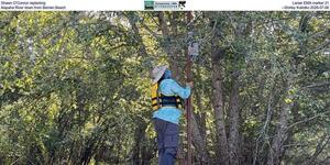[Shawn O'Connor replanting Lanier EMA marker 21, Alapaha River down from Berrien Beach, --Shirley Kokidko 2026-07-06]