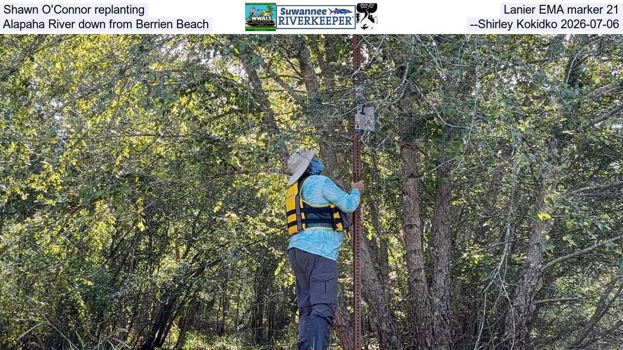 Shawn O'Connor replanting Lanier EMA marker 21, Alapaha River down from Berrien Beach, --Shirley Kokidko 2026-07-06