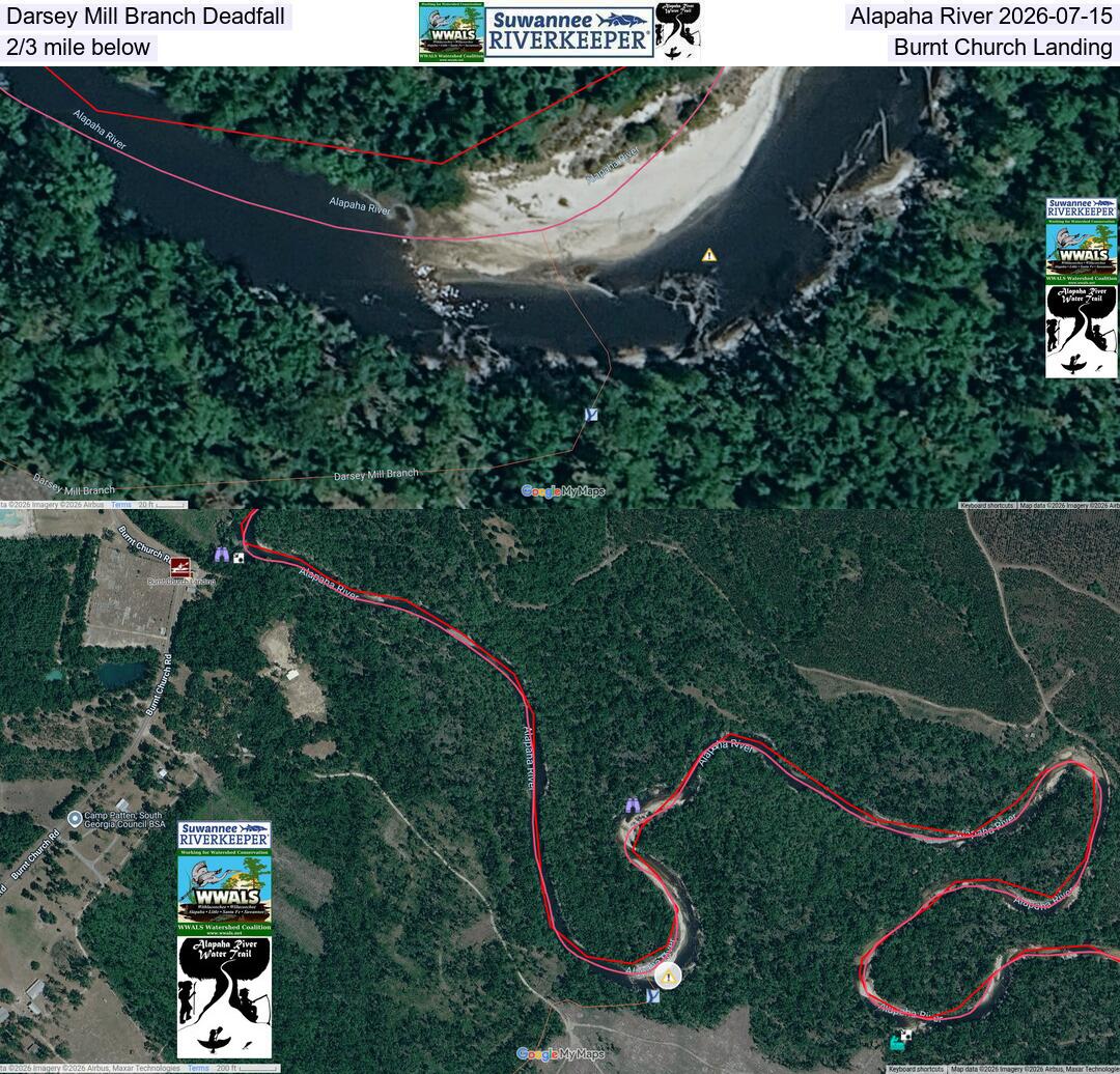 Darsey Mill Branch Deadfall, Alapaha River 2026-07-15, 2/3 mile below Burnt Church Landing