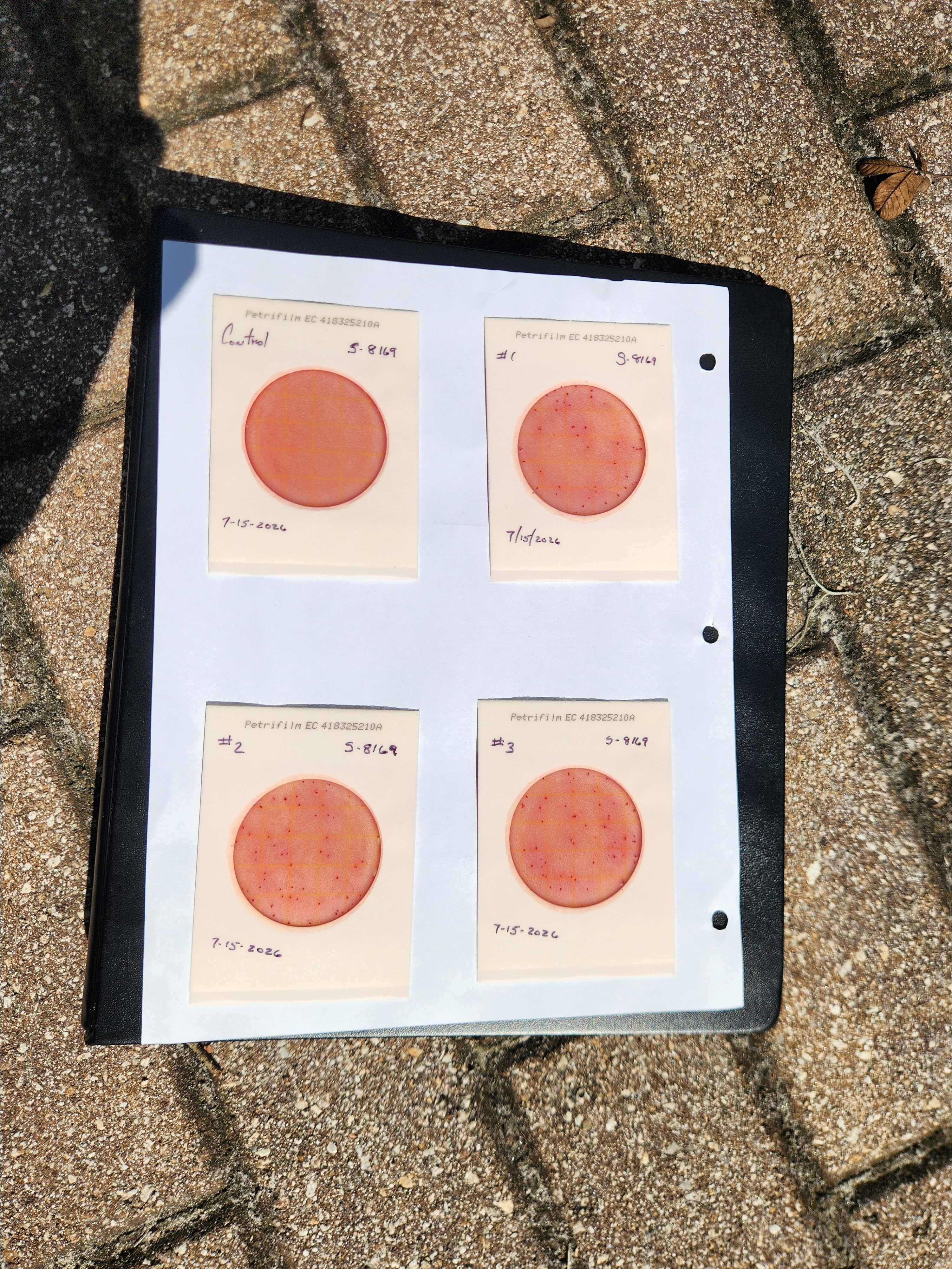 Plates, Mills Dock 2026-07-15 --Bob Mills and Kurt Hurzeler for WWALS