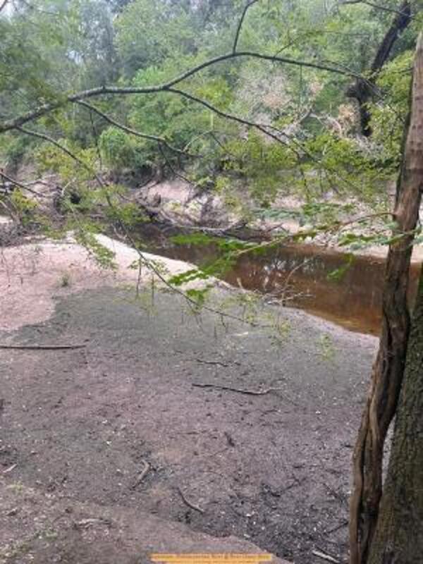 upstream, Withlacoochee River @ River Chase Drive 2026-07-17 --Jimmy LeFiles for WWALS