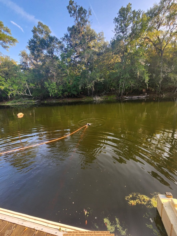 [Mills Dock, Santa Fe River @ NW 282nd Dr 2026-07-22 --Bob Mills and Kurt Hurzeler for WWALS]